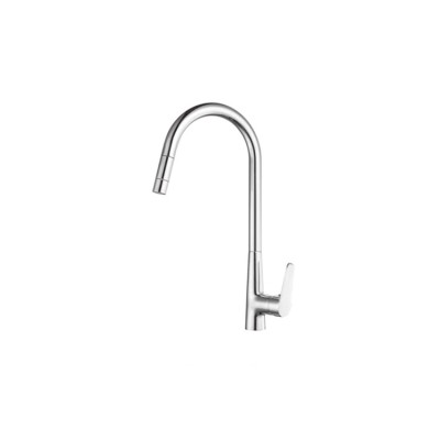 Hot Sale Factory Directly Stainless Steel  Bidet Basin Washroom Taps Single Handle Homedec Single Hole Faucet